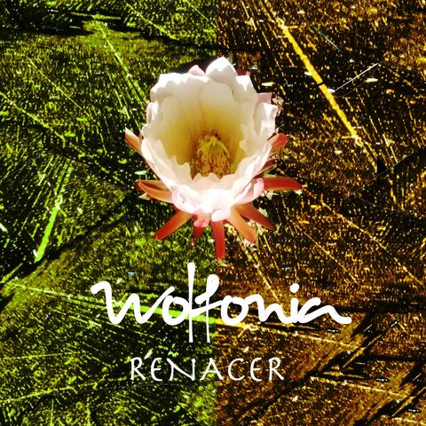 Renacer