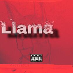 Llama