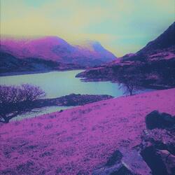 A N C E S T R Y