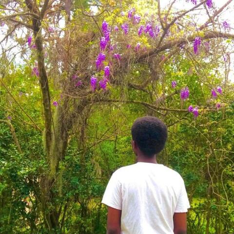 LOVE IN BLOOM