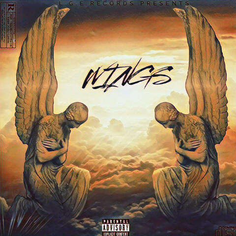 Wings