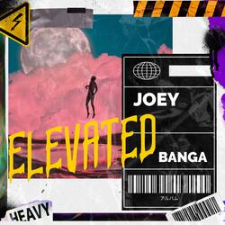 ELEVATED(MAYBACH BEAT)