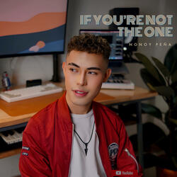If You're Not The One