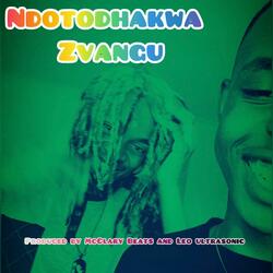 Ndotodhakwa Zvangu (feat. T Slime)
