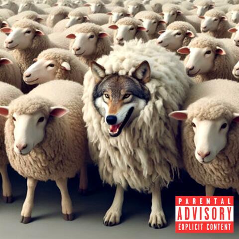 Shoulda Went On A Lamb