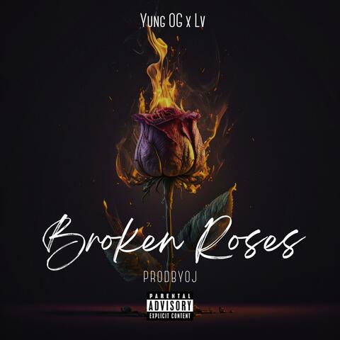 Broken Roses