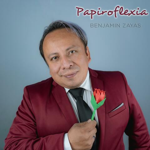 Papiroflexia
