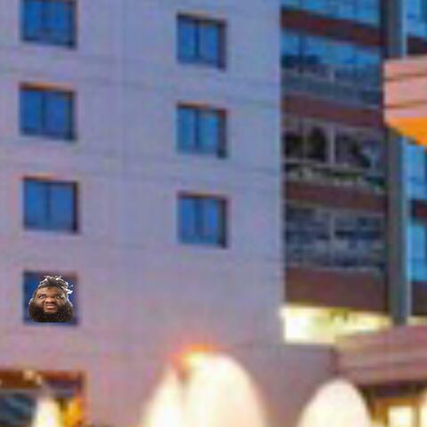 Room 212 Freestyle