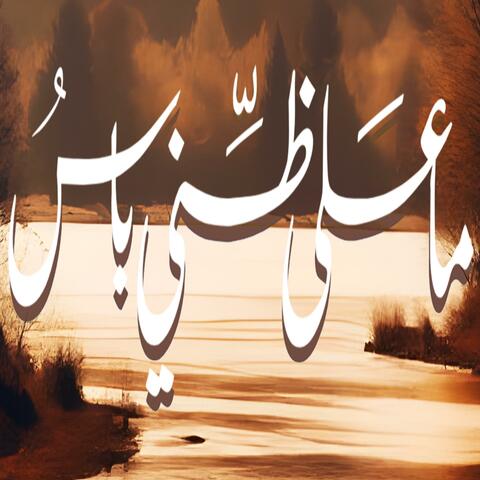 رائعة ابن زيدون "ما على ظنيَ باسُ"