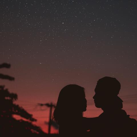 Never Fall In Love Again