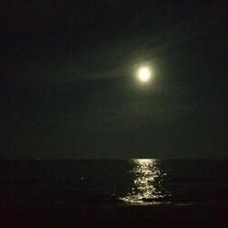 sull'orlo di fallire