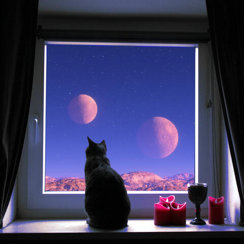 The Astronomer´s Talking Cat
