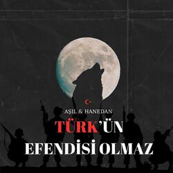 Türk'ün Efendisi Olmaz (feat. Aşıl)