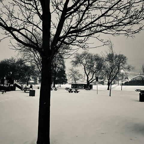 The Era of Missing Leaves