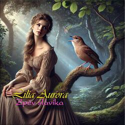 Nebudu ti v cestě stát