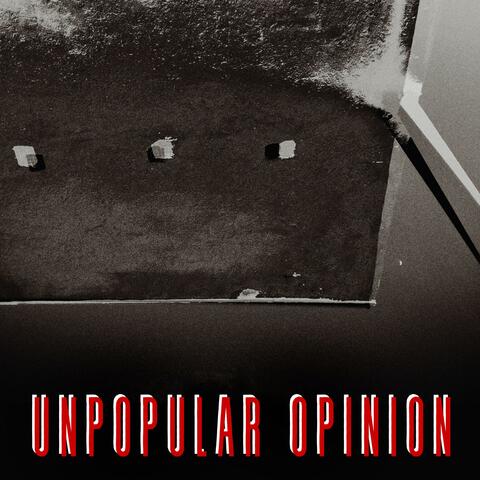 Unpopular Opinion