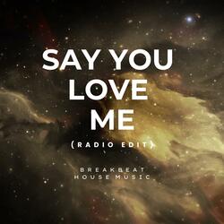 SAY YOU LOVE ME (Radio Edit)