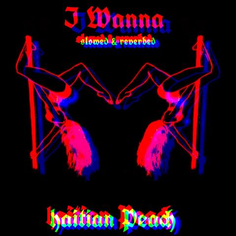 I Wanna (Slowed & Reverb)