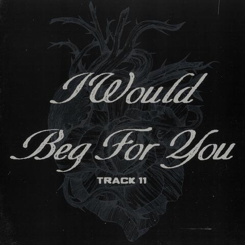 i would beg for you