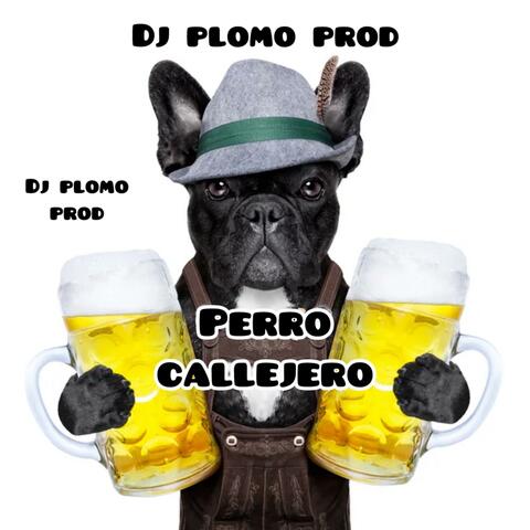 Perro Callejero