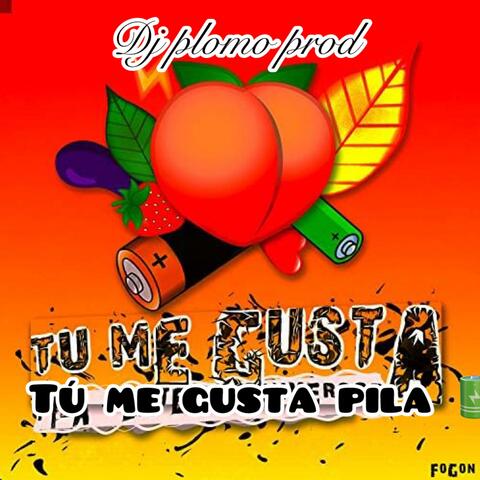 Tu Me Gusta Pila