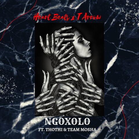 Ngoxolo (feat. T Arrow, Thothi & Team Mosha)