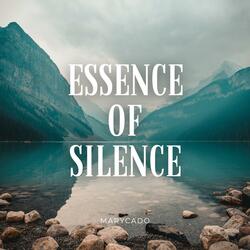 Essence of Silence