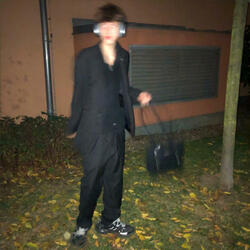 NOISᴚƎΛOWƎᗡ¯HSI˥⅁NƎ