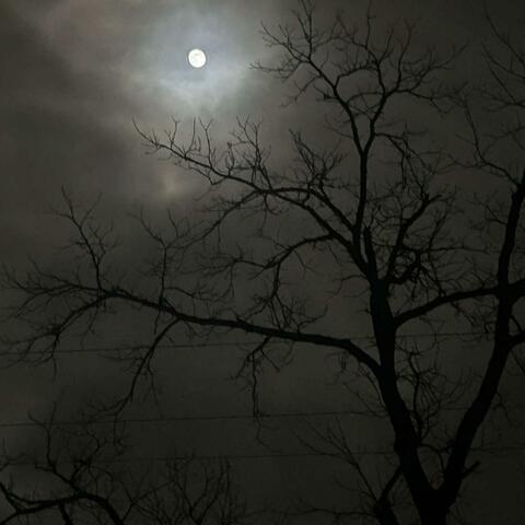 cold heart (feat. Yung_Swisha/Lil Rello)