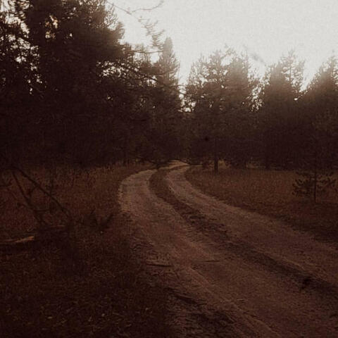 Back Roads