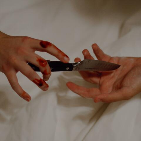 The Knife
