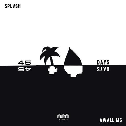 45 days (feat. Awall Mg)
