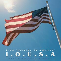 I.O.U.S.A (Single Edition)