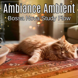 Bossa Nova Study Flow