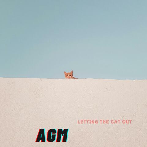 Letting The Cat Out
