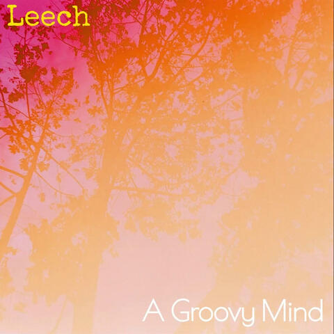 Leech