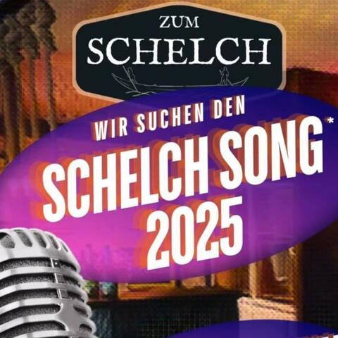 Schelch sucht den SuperSong (Alle Songs)