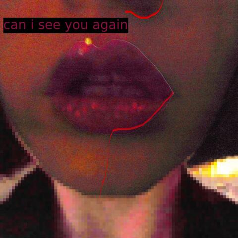 Can I See You Again?