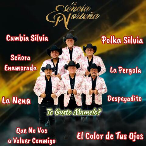Te Gusto Mamelo?