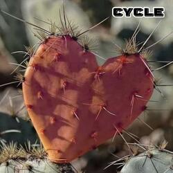 CYCLE