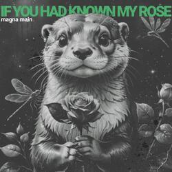 If You Had Known My Rose