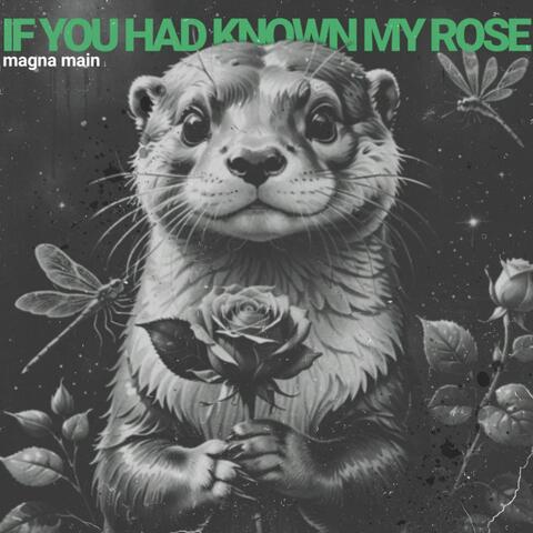 If You Had Known My Rose