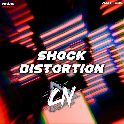 Shock Distortion