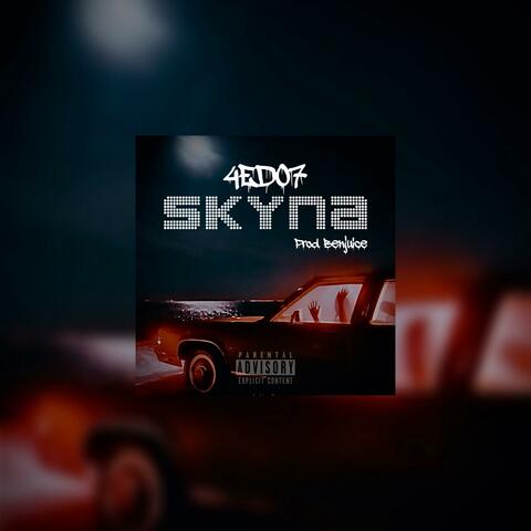 Skyna