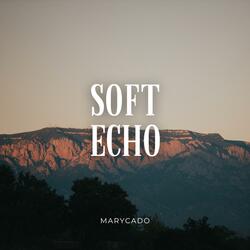 Soft Echo