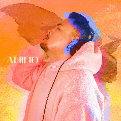 Anino
