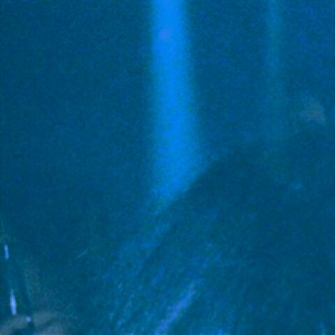 THROUGH THE NIGHT