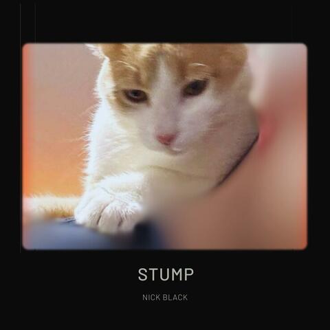 Stump
