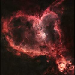 Vivant