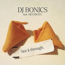 See It Through (feat. Metasota) (Radio Edit)